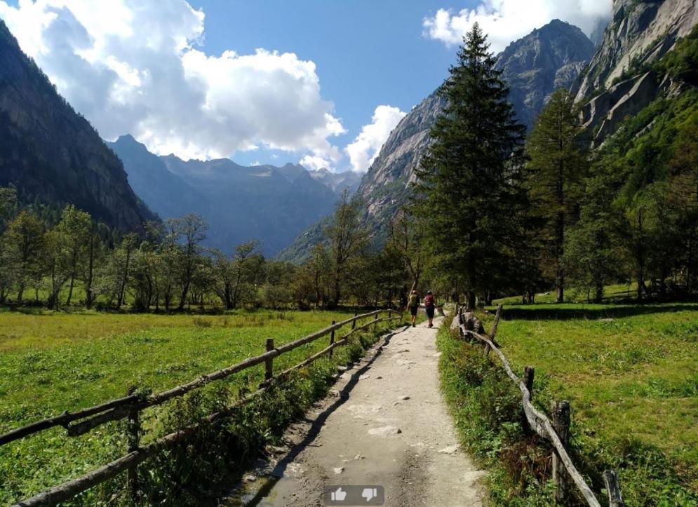 Appartamento Il Nido Tra Verde E Natura Berbenno di Valtellina Dış mekan fotoğraf